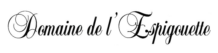 Domaine de l Espigouette Logo