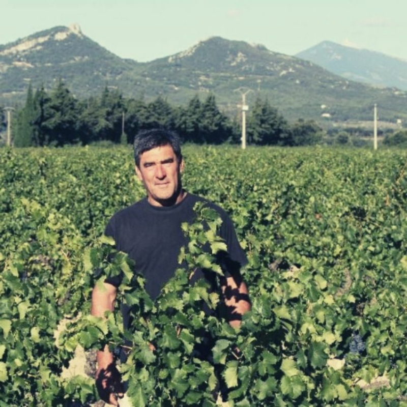 L Espigouette in Vineyards